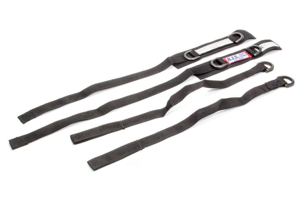 RJS SAFETY 11001701 - Jr Dragster Arm Restrain  image