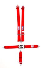 Load image into Gallery viewer, RJS SAFETY 1128604 - 5-Pt Harness System Rd Ind Bolt In Mt 3in Sub image