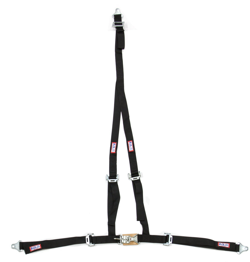 RJS SAFETY 4006901 - Buggy Belt Non-Comp  image
