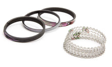 Load image into Gallery viewer, SEALED POWER R9771-45 - Piston Ring Set 4.040 1/16 1/16 3/16 image
