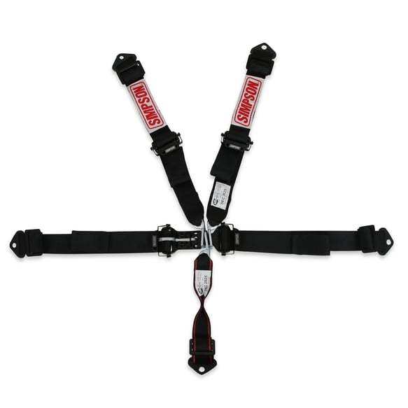 SIMPSON SAFETY 12LD5WB - Harness 5pt LL Pull-Down 2in Lap & Shoulder image