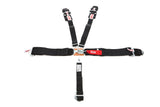 5-PT Harness System LL P/U B/I Ind 62in