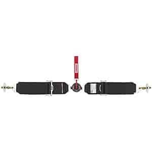 SIMPSON SAFETY 32000BK - Lap Belt Camlock 62in BK Floor Mnt image