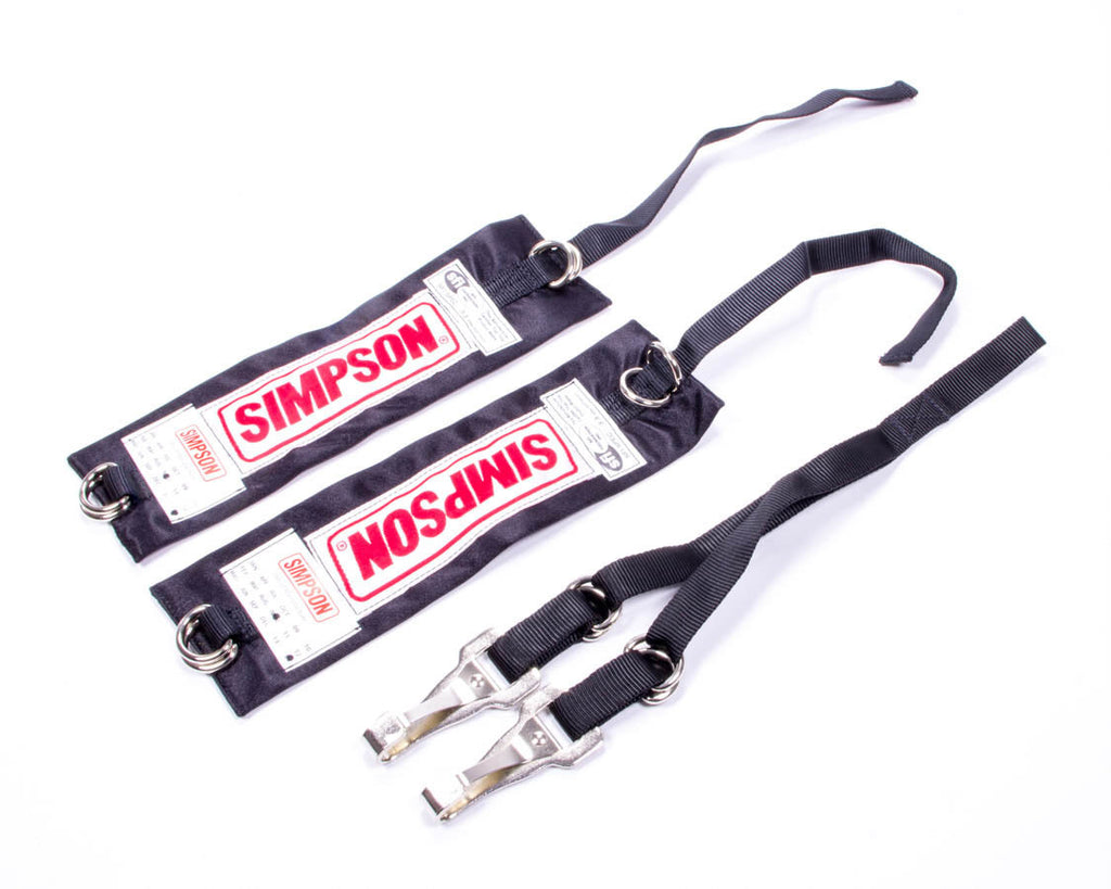 SIMPSON SAFETY 36001BK - Y Strap Arm Restraint  image
