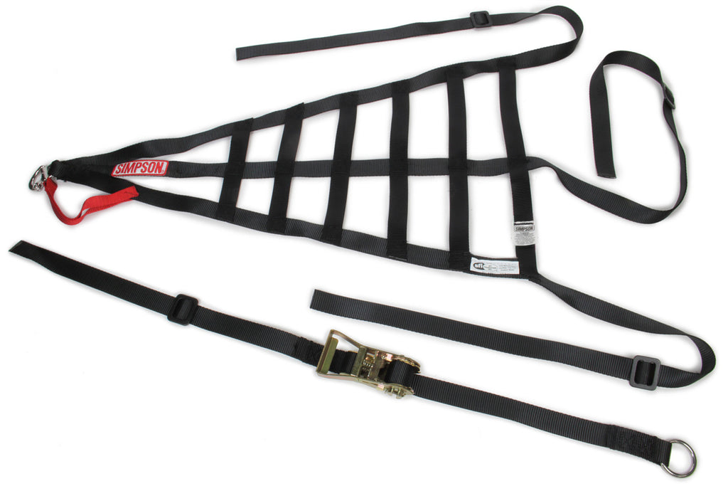 SIMPSON SAFETY DNC5RLP - Driver Net Corvette Left Poly 28in x 15-3/4 image