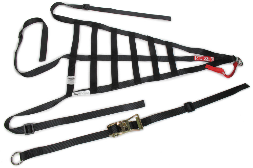SIMPSON SAFETY DNC5RRP - Driver Net Corvette Left Poly 28in x 15-3/4 image