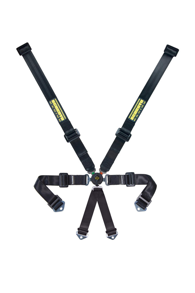 SCHROTH RACING SR91152PDO-6 - 6pt Harness Profi 2x2 Pull-Down Lap image