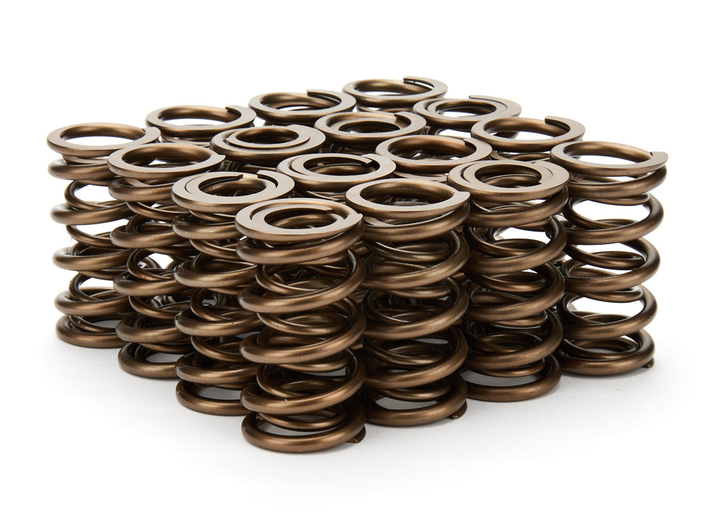 STRAUB TECHNOLOGIES INC. 110-1821 - 1.290 Dual Valve Springs 16pk image