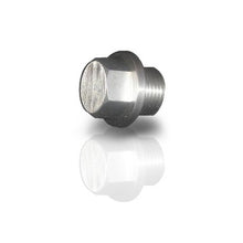 Load image into Gallery viewer, STAINLESS WORKS O2P - Plug for O2 bung 3/4in  image