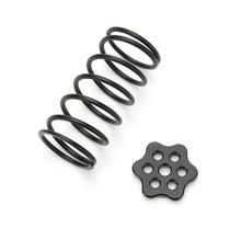 Load image into Gallery viewer, Ti22 PERFORMANCE 4220 - Master Cylinder Return Spring Black Steel Kit image