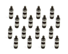 Load image into Gallery viewer, TRICK FLOW TFS-21400008-16 - Hydraulic Lash Adjusters 16pk image