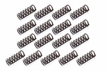 Load image into Gallery viewer, TSR RACING PRODUCTS APG-2832HD - P/G HD Reverse Springs  image