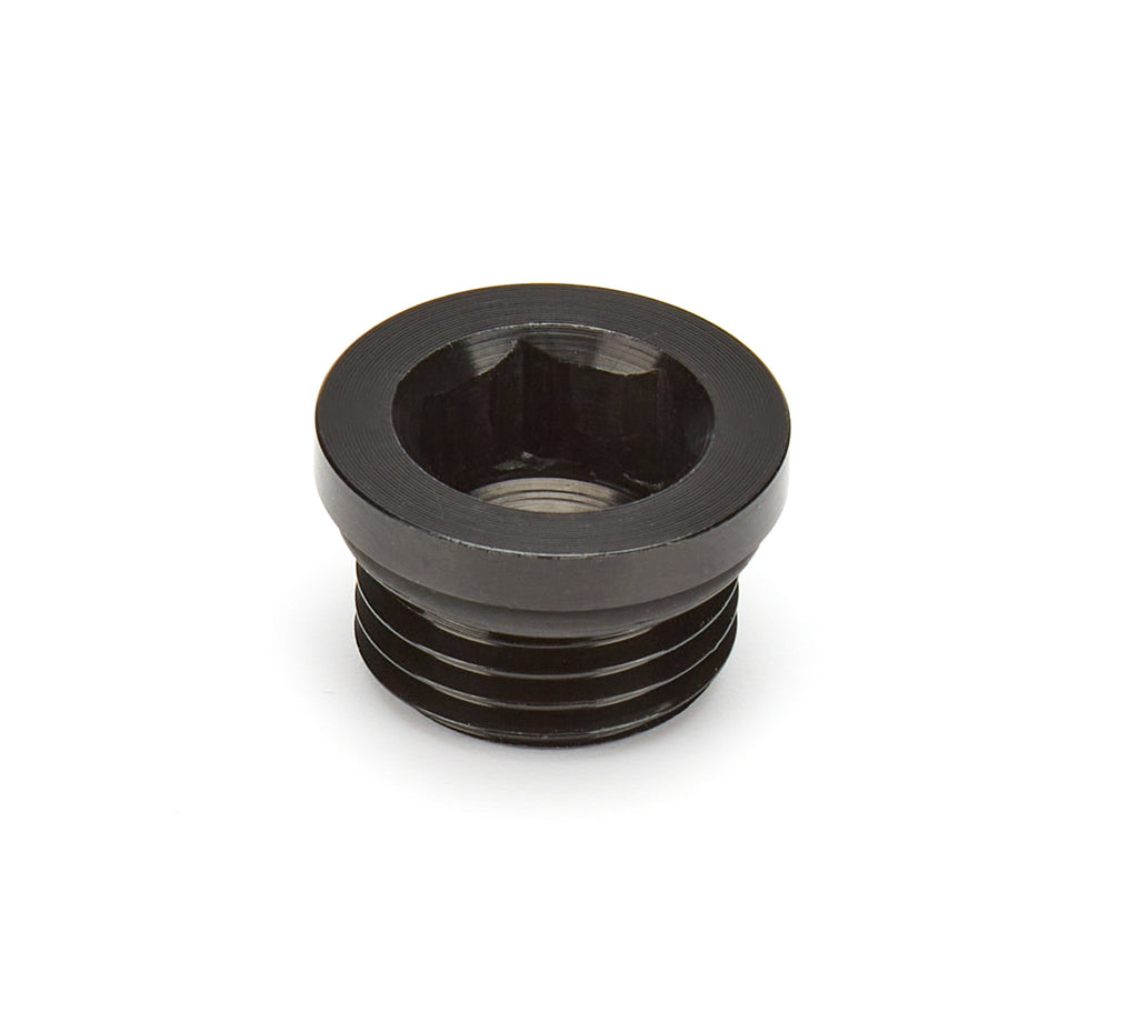 WATERMAN RACING COMP. 45329 - Fitting Plug ORB -6an Steel image