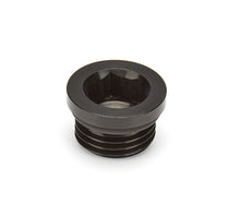 Load image into Gallery viewer, WATERMAN RACING COMP. 45329 - Fitting Plug ORB -6an Steel image