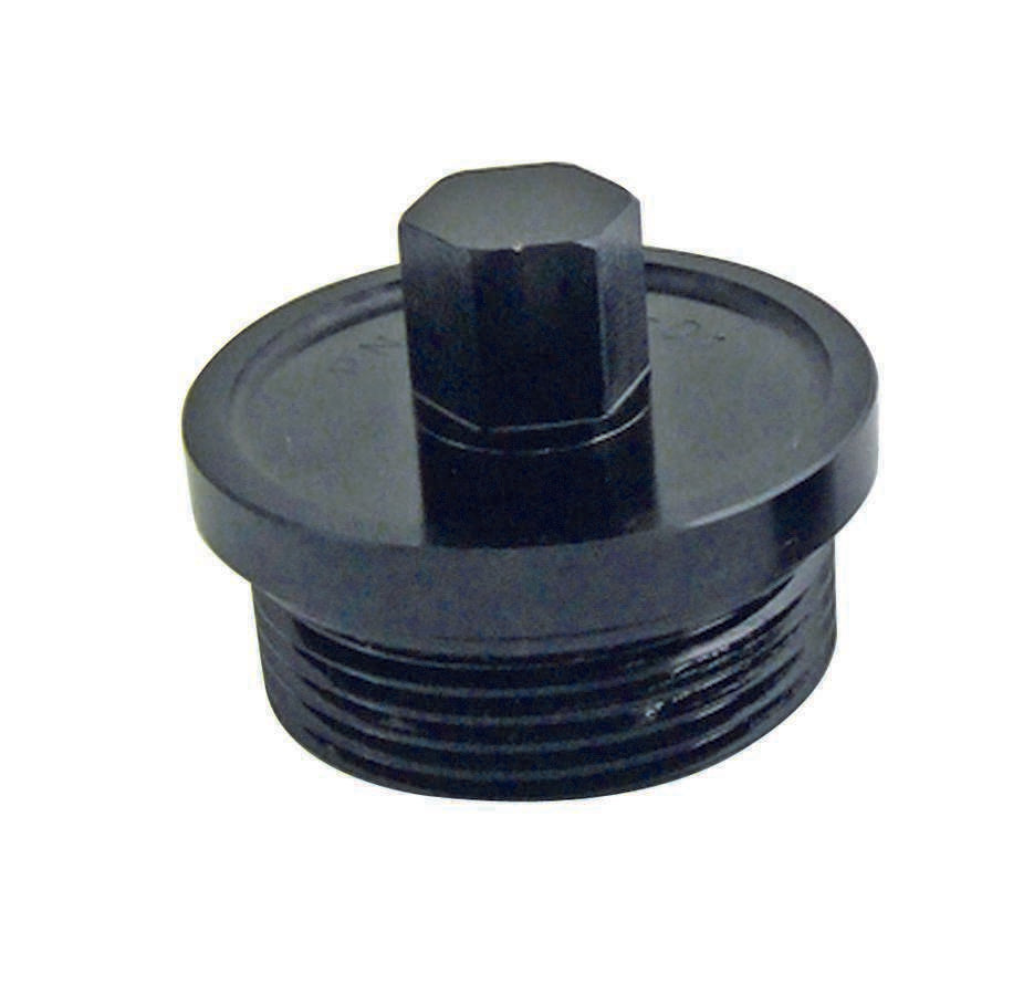 WINTERS 5290-01 - Inspection Plug Large 9/16 Hex image