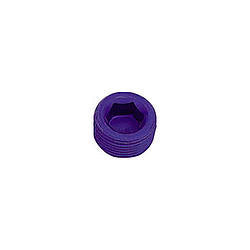 XRP-XTREME RACING PROD. 993201 - 1/16 Pipe Plug (Allen) (2pk) image