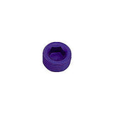 1/16 Pipe Plug (Allen) (2pk)