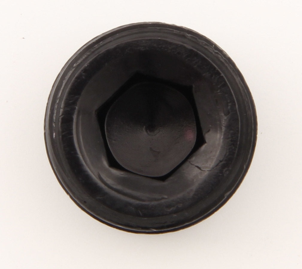 XRP-XTREME RACING PROD. 993205BB - Allen Pipe Plug - 1/2in Black image